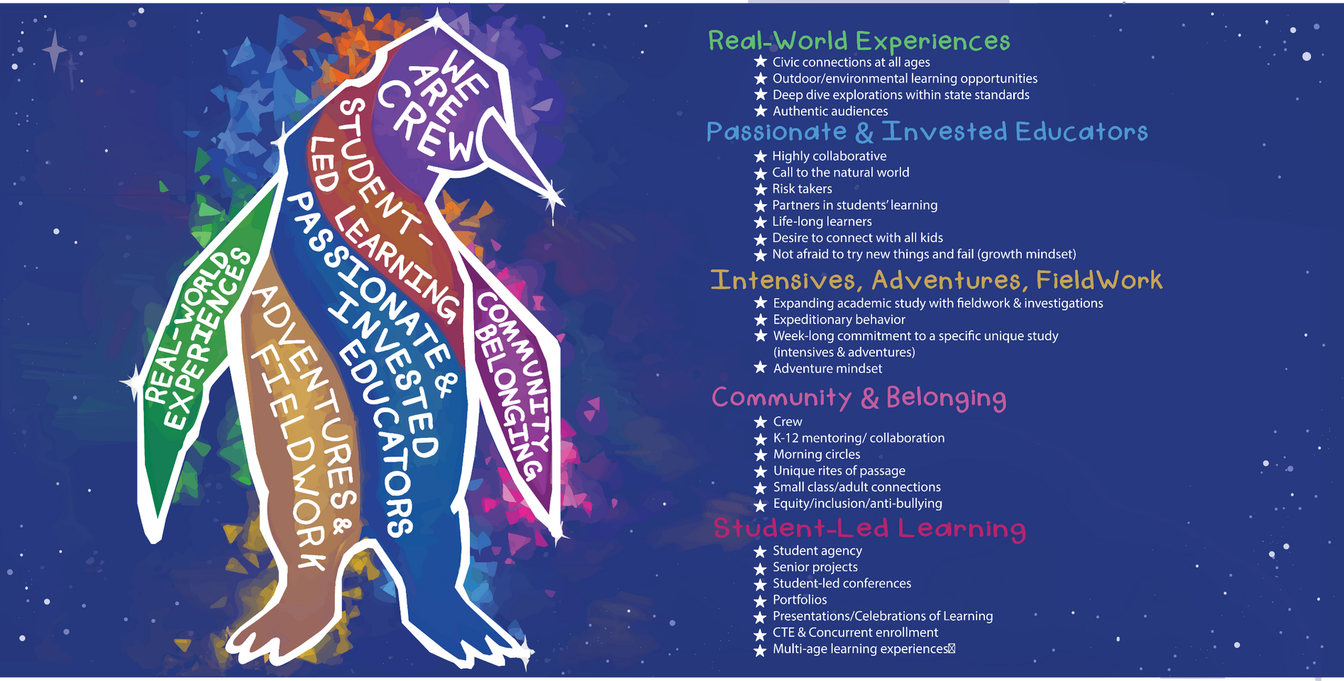 "Polaris Banner" 2/2